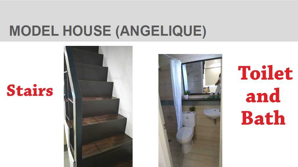 Angelique-Showcase-2-1638782416.jpg